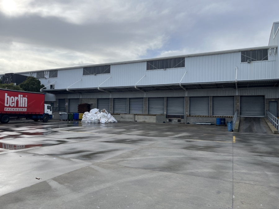 To Let commercial Property for Rent in Montague Gardens Western Cape